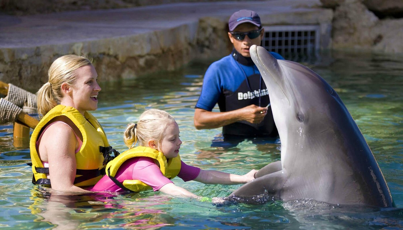 Dolphin Experience in Cozumel